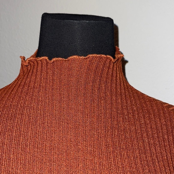 Rust Orange Long Sleeved Turtle Neck MIDI Dress - Picture 3 of 6